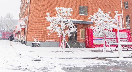 校园雪景2